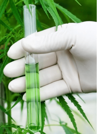 Taking A Marijuana Drug Test? Try Optimal Kleen!